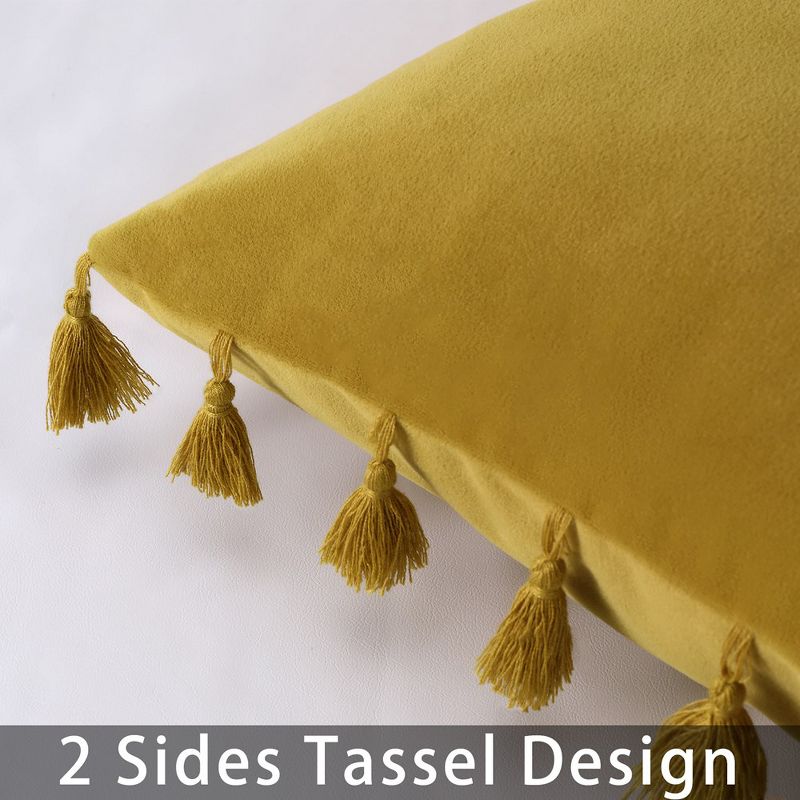 2 Pieces Tassels Velvet Decorative Throw Pillow Covers, 4 of 6