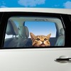 Collections Etc Whimsical Cat Face Vinyl Window Decal Brown - 2 of 2