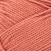 Lion Brand Local Grown Cotton Yarn - 2 of 2