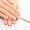 Unique Bargains Wood Pole Drilling Nail Painting Brushes Set for Home DIY Wood Color 5 Pcs - 2 of 4