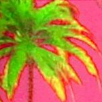 holiday tribal autumn pink