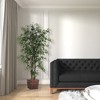 Vickerman Artificial Ming Aralia Extra Full Series - 4 of 4