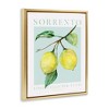 Stupell Industries Sorrento Lemon Branch Floating Frame Canvas Art - 2 of 4