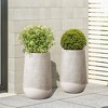 LuxenHome 27" H Concrete Tall Planter Large Outdoor Indoor Decorative Plant Pot Distressed Wood Pattern Planter Pot for Home Garden Patio Brown - 3 of 4