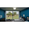 Quoizel Lighting 2 - Light Semi-Flush Mount in  Matte Black - 2 of 4