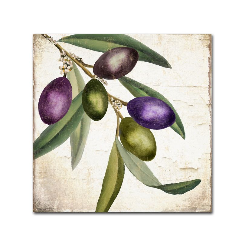 Trademark Fine Art -Color Bakery 'Olive Branch I' Canvas Art, 2 of 4