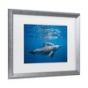 Trademark Fine Art - Barathieu Gabriel Pod Of Dolphin Matted Framed Art - 3 of 4