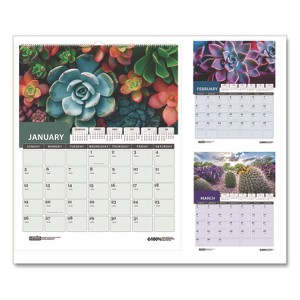House of Doolittle Recycled Succulent and Cacti Wall Calendar 12-Month January 2026 to December 2026 Multicolor Sheets 14 x 11 - 1 of 4
