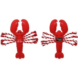 Pavilion Gift Company - Claw-some - 12" Canvas Dog Toy with Rope - Pet Toy - 1 of 4