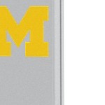 michigan wolverines