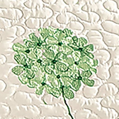 Full Size Sage Green Embroidered Floral Polyester Quilt