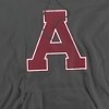 Alma College Official Distressed Primary Logo Adult Pull-Over Hoodie - 2 of 4