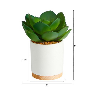 Desert Essence 7" Potted Plastic Succulent in White Planter