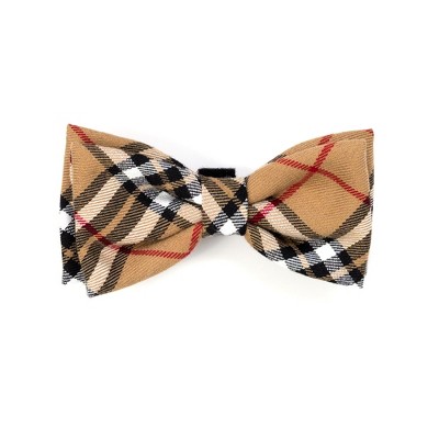 Collar Side Flower Dog Bow Tie - 3.5 - Boots & Barkley™ : Target