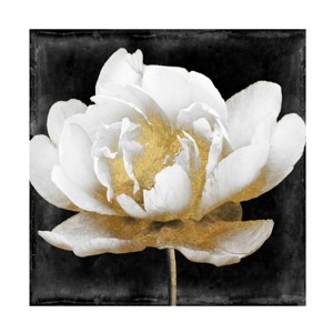 Trademark Fine Art -Color Bakery 'Gilda II' Canvas Art - 1 of 4