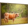 Amanti Art Sunlit Midwest I by PHBurchett Framed Canvas Wall Art - 3 of 4