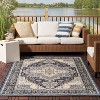Nourison Essentials Persian Vintage Indoor Outdoor Area Rug - 2 of 4
