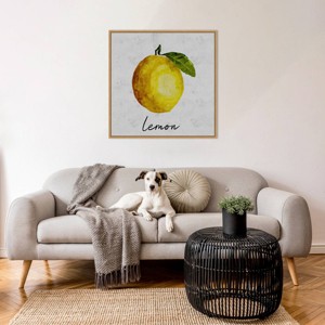 Amanti Art Summertime Citrus II by Regina Moore Framed Wall Art Print - 1 of 4