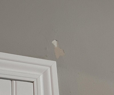 Guest review image 1 of 1, zoom in