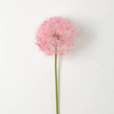 Dandelion Pom Pom set