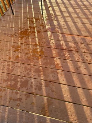 Guest review image 1 of 2, zoom in