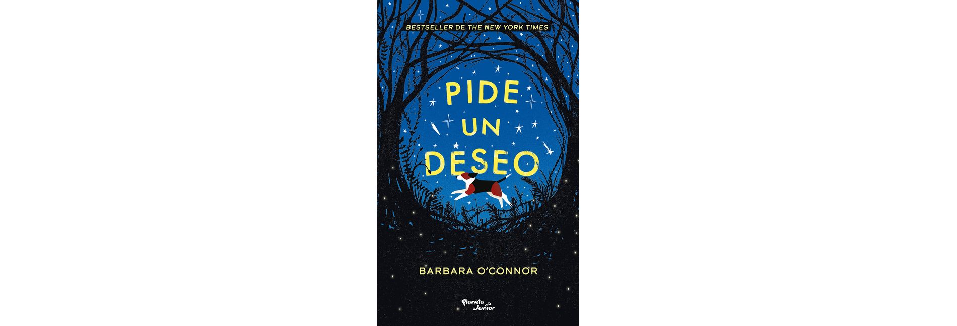 Pide Un Deseo / Wish - by  Barbara O'Connor (Paperback)