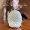 Ola Prima Oils - Clove Essential Oil 4 oz, Clove Oil for Skin, Diffuser, Natural, Premium Grade - Clove Oil - 4 of 4