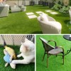 Dexmalle 3FT*16FT Artificial turf - 2 of 4