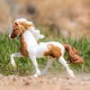 Breyer Animal Creations Breyer Traditional 1:9 Scale Model Horse | Sporður frá Bergi - 2 of 4