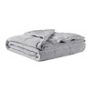 NicBex Plush & Microfiber Cooling Blanket with HeiQ Smart Temp,Bed Blanket,Soft Cold Blanket for Bedroom - 2 of 4