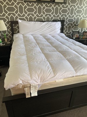 Guest review image 4 of 5, zoom in