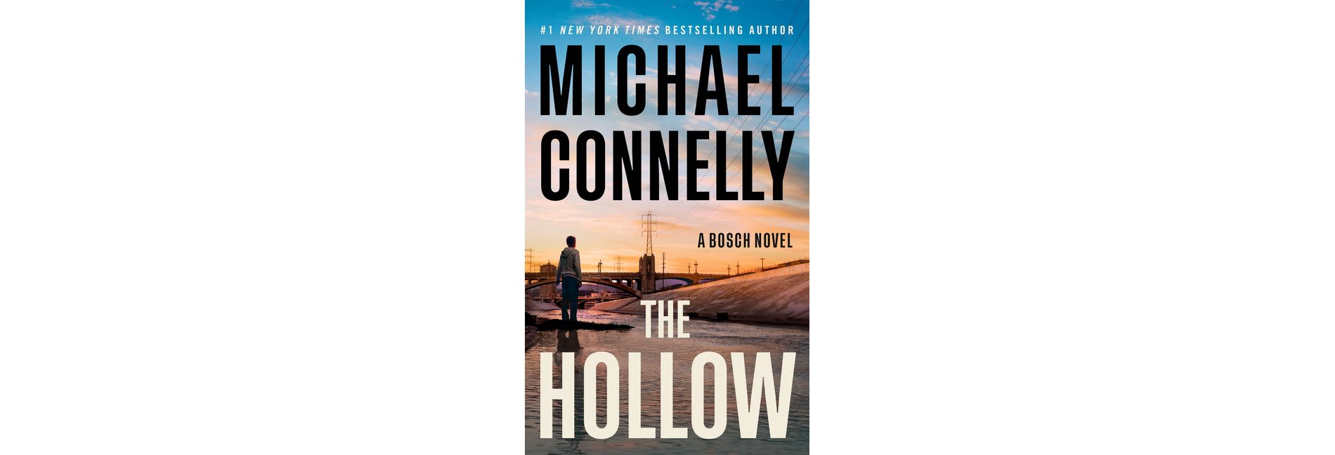 The Hollow - (Harry Bosch Novel) by Michael Connelly (Hardcover)