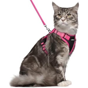 rabbitgoo Cat Harness and Leash Set, Escape , Easy Control Breathable Kitten Jacket with Reflective Strips, Black & Rose Pink, M - 1 of 1