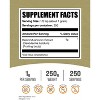 BulkSupplements Reishi Mushroom Extract Powder - 2 of 4