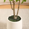 DR.Planzen 5-7FT Artificial Ficus Tree with Small Leaves in White Pot - Pre Potted Faux Tree for Indoor Home Decor - 3 of 4