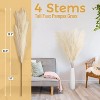 4 PCs Faux Pampas Grass Decor, 44 Inch Tall Fluffy Artificial Fake Flower Boho Decor, Bulrush Grass for Vase Filler, Farmhouse Home Wedding Decor - 2 of 4