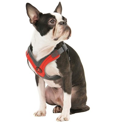 Gooby Trekking Harness, Small Dog Fleece Lined Harness with Memory Foam Padding, Red, Large