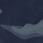 17021-navy camo