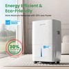 Waykar Energy Star Dehumidifier for Basements or Wet Spaces - 2 of 4