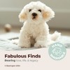 Bearington White Dog 13 Inch White Dog Stuffed Animal - Labradoodle Maltipoo Stuffed Animals - 2 of 4