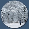 Courtside Market Global Wonders Photography Collection, Snowhite Statement Piece Wood Décor - 3 of 4