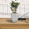 Rosemead Home & Garden Concrete Outdoor Planter Pot Chalk White 17.13"x17.13"x21.65" - 4 of 4