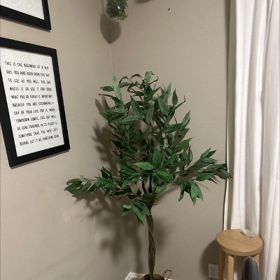 Guest review image 2 of 2, zoom in