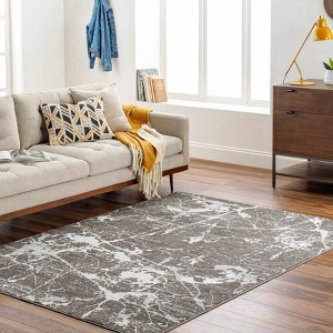Hauteloom Ianto Charcoal Marble Washable Area Rug - 1 of 4
