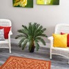 Nearly Natural 3-ft Cycas Artificial Tree - 3 of 4