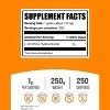BulkSupplements L-Ornithine HCl Powder 500g - 2 of 4