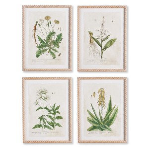 Plum & Post Vintage Botanical Study Set of 4 - 1 of 4
