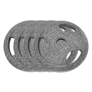 Cast Iron Weight Plates, 1 inch Standard Weights Plates with Anti-Rust Coating,  Triple Grip Handles for Home Gym Strength Training, Weightlifting - 1 of 4