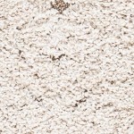 cream/beige