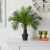 Nearly Natural 26-in Robellini Palm Artificial Tree - 3 of 3